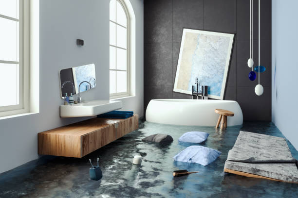 Best Water damage repair service  in Jordan, MN