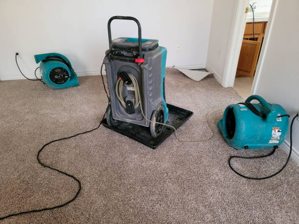 Best Ceiling water damage repair  in Jordan, MN