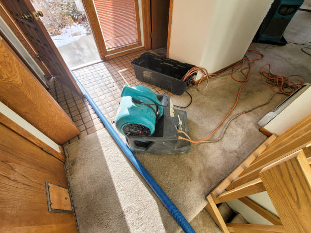 Best Basement water damage restoration  in Jordan, MN