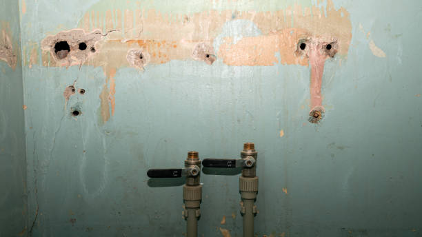 Best Water damage restoration mold remediation  in Jordan, MN